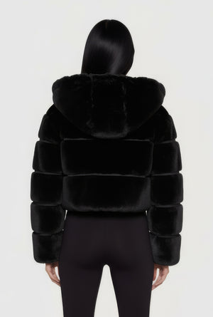 3414078182387001_006
