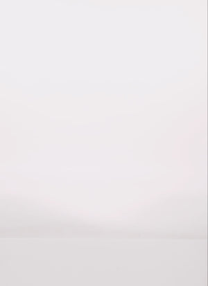 3058038348800001_100