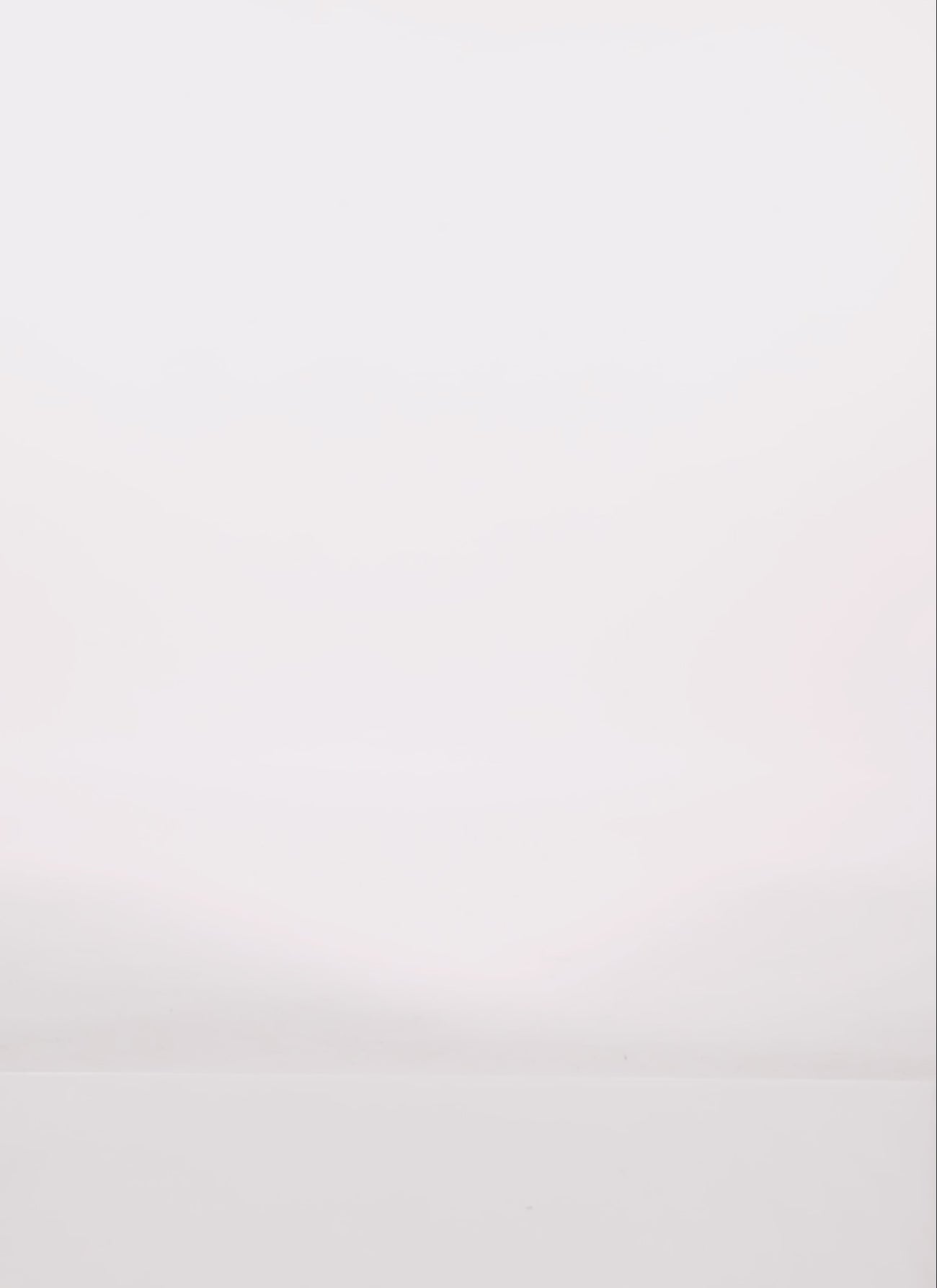 3058038348800001_100