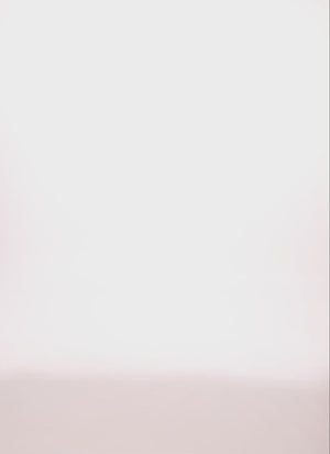 1390054265093020_100