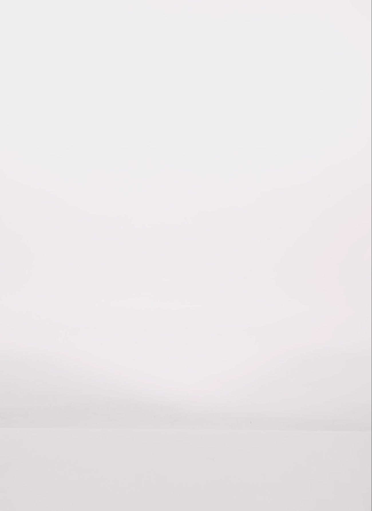 3058038348800050_100