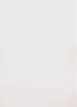 1290077394202340_100
